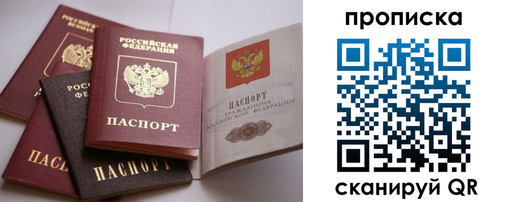 прописка ребенка в Мурино